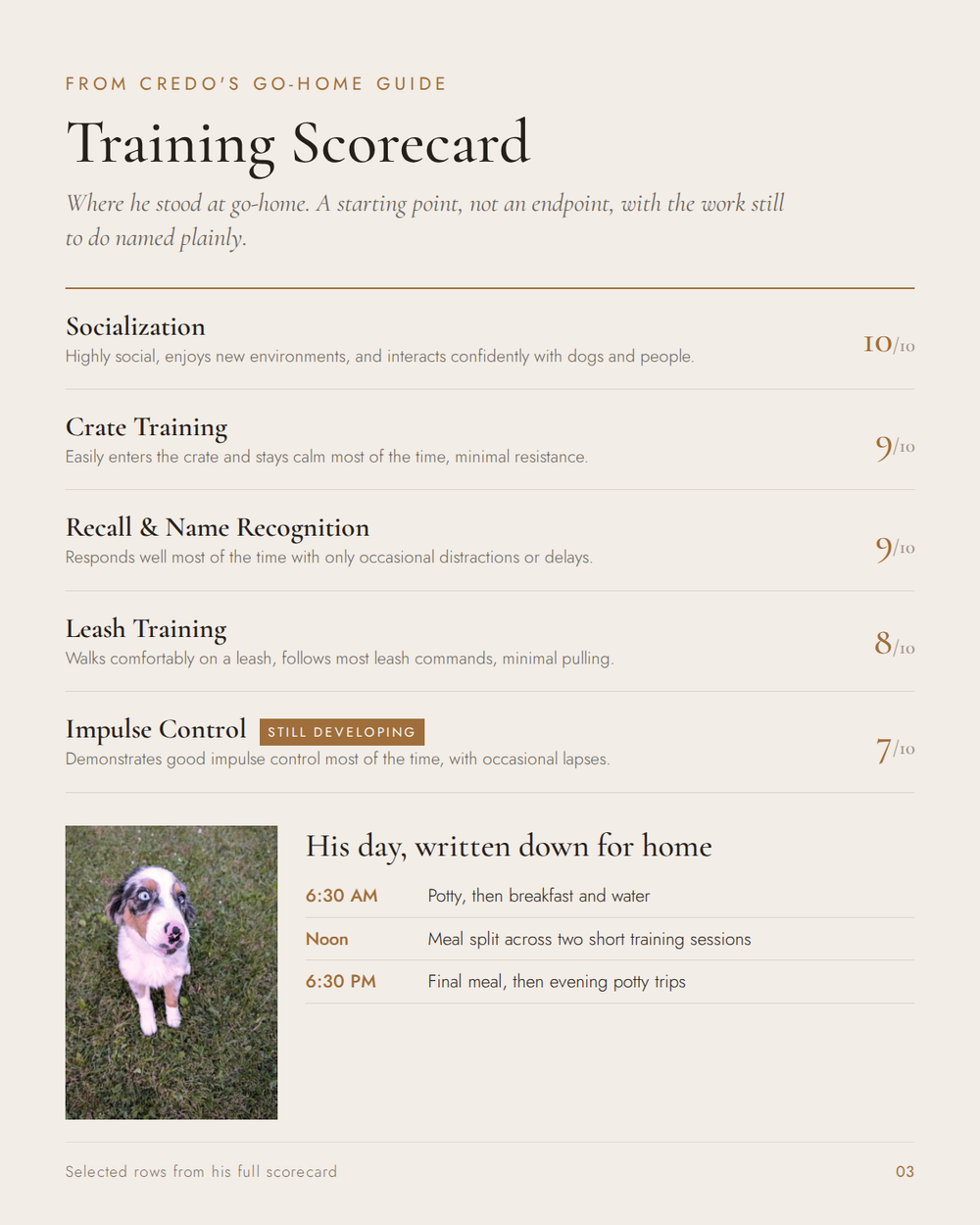 Selected rows from Credo's training scorecard, including impulse control marked still developing, and his daily schedule for home