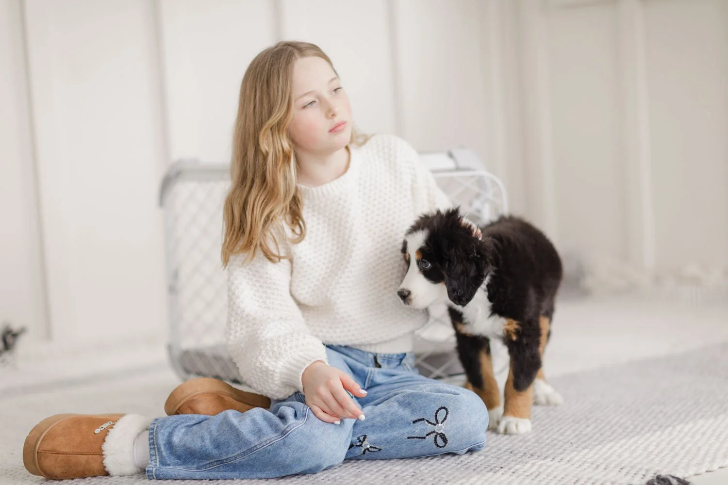 Bernedoodle puppies at Stokeshire Designer Doodles