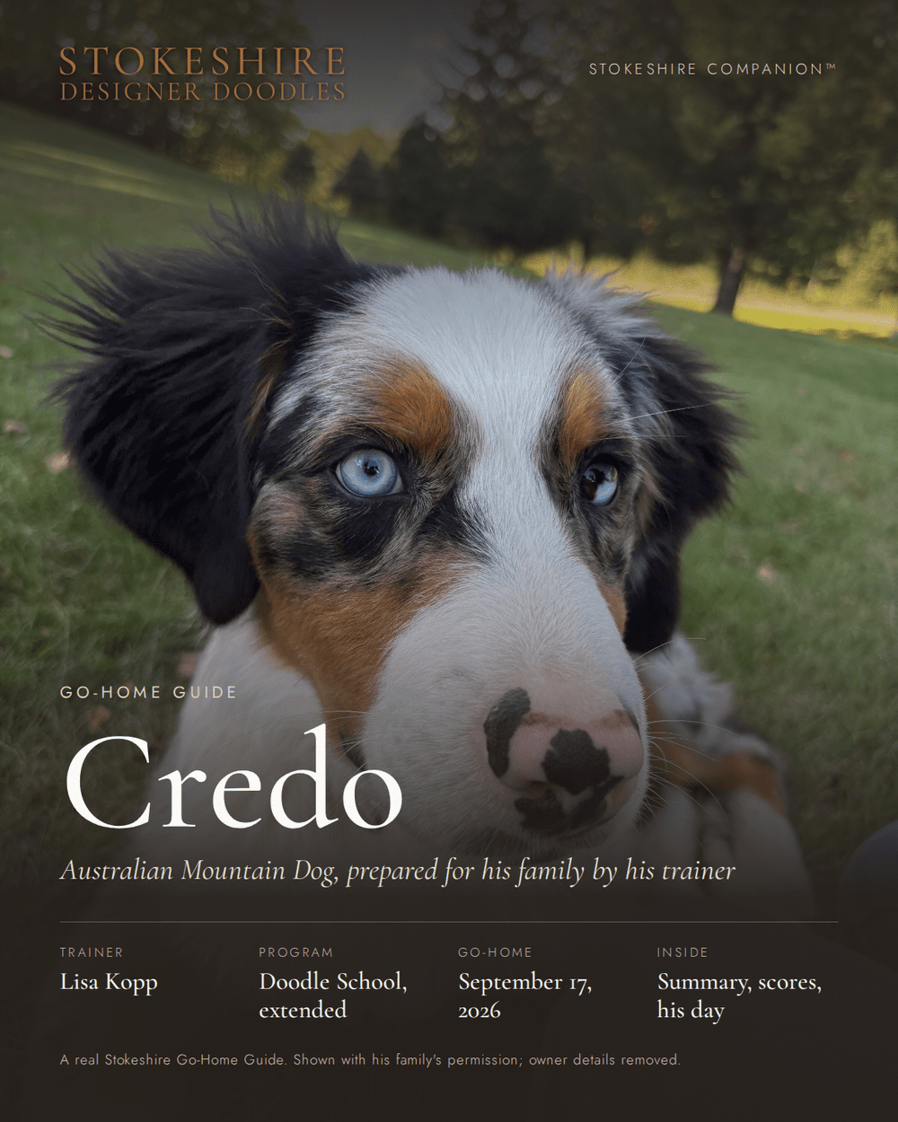 Cover of Credo's Stokeshire Go-Home Guide: Australian Mountain Dog, trainer Lisa Kopp, go-home September 17, 2026