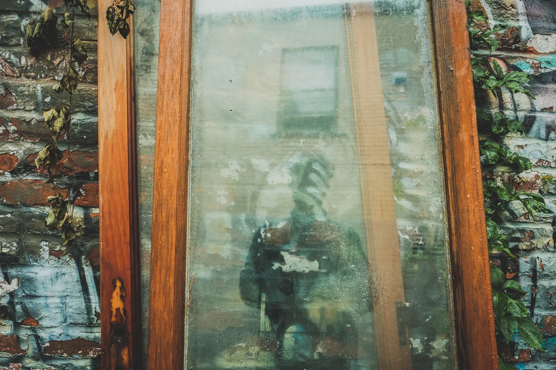 Reflection in an old door window — Montréal street photography