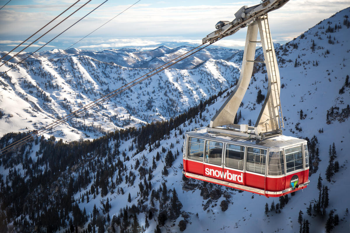 Snowbird 6