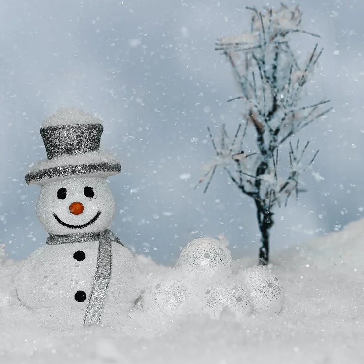 Snowman Illustration