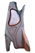 Centring Harmony – back