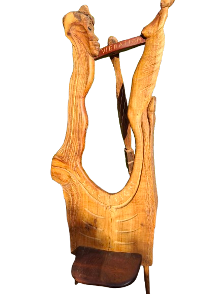Vibrational Experience – Silky Oak Wood
