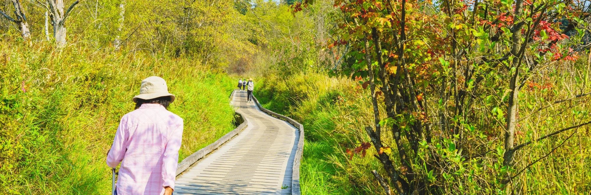 The boardwalk trail at Burnaby Lake