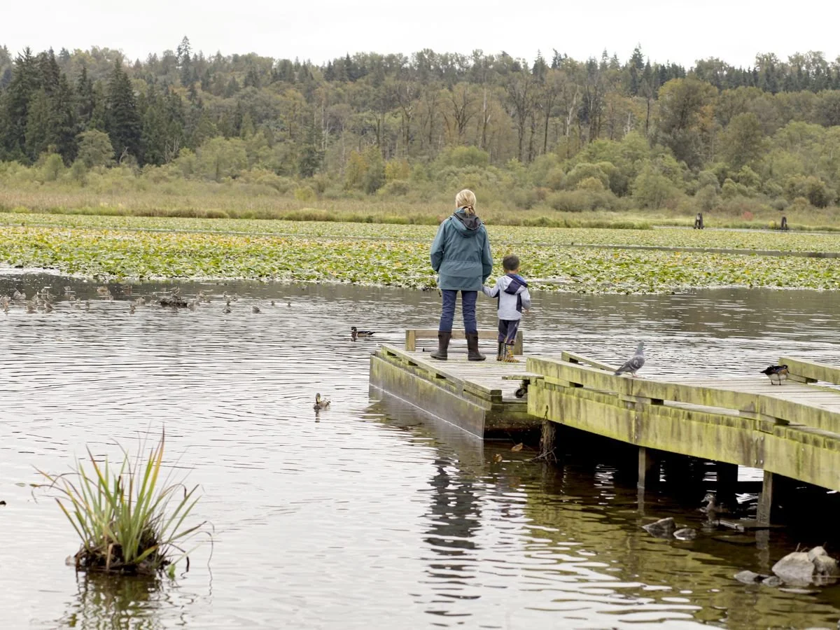 The pier at Piper Spit, Burnaby Lake