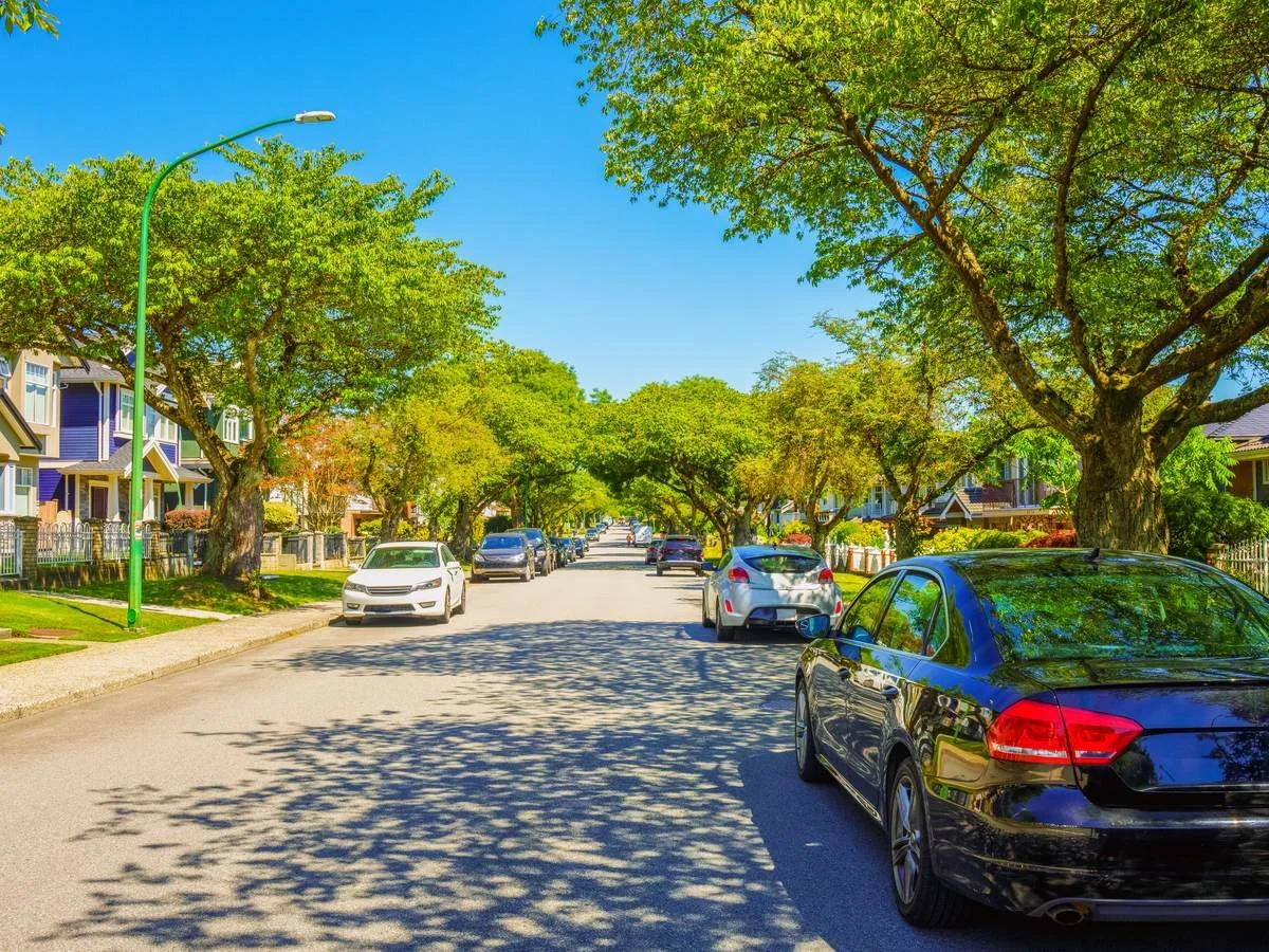 A tree-lined Burnaby residential street