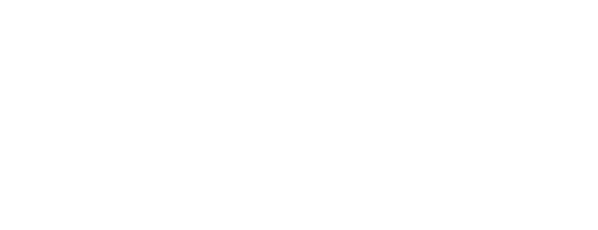 Bellevue Dance Academy logo