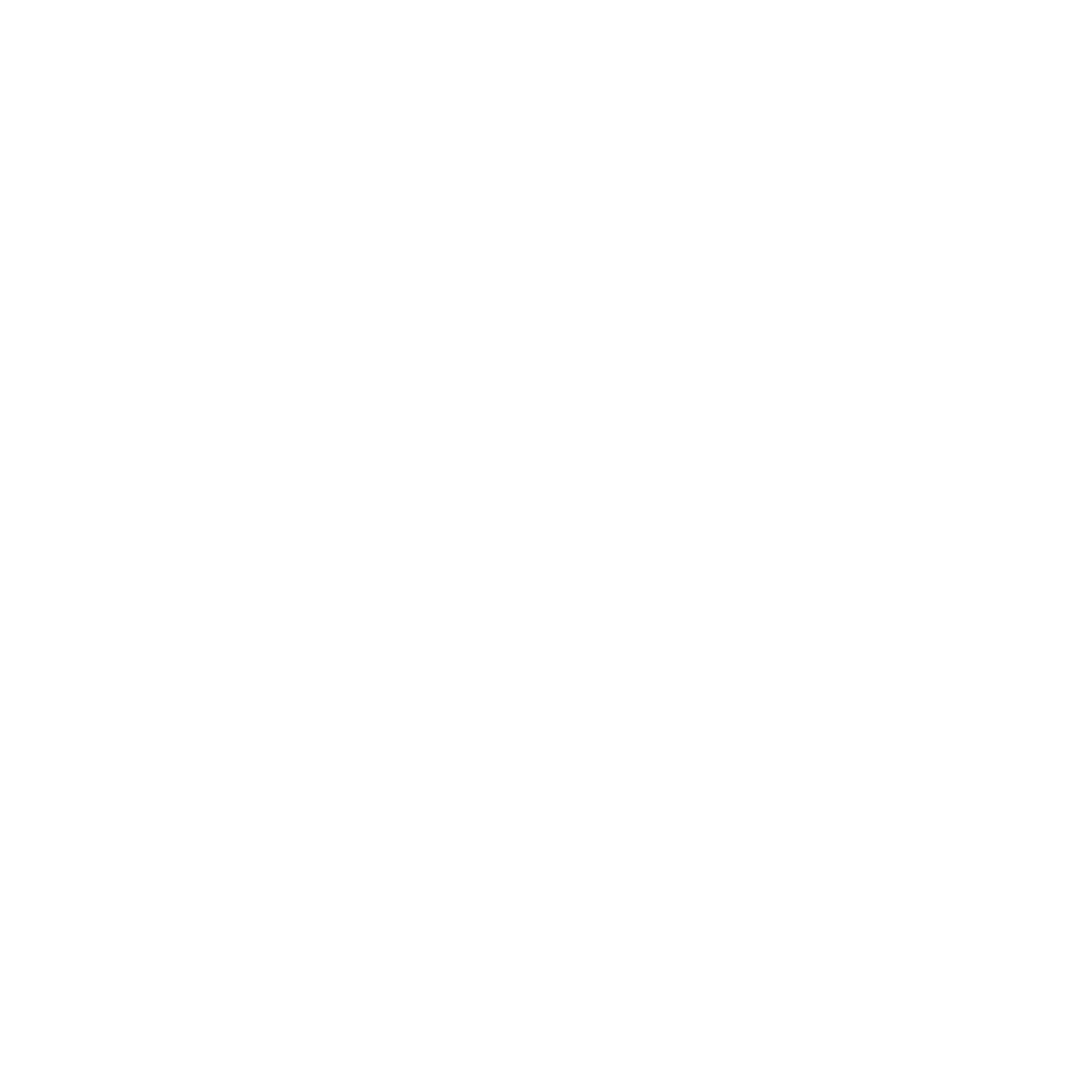 Vice