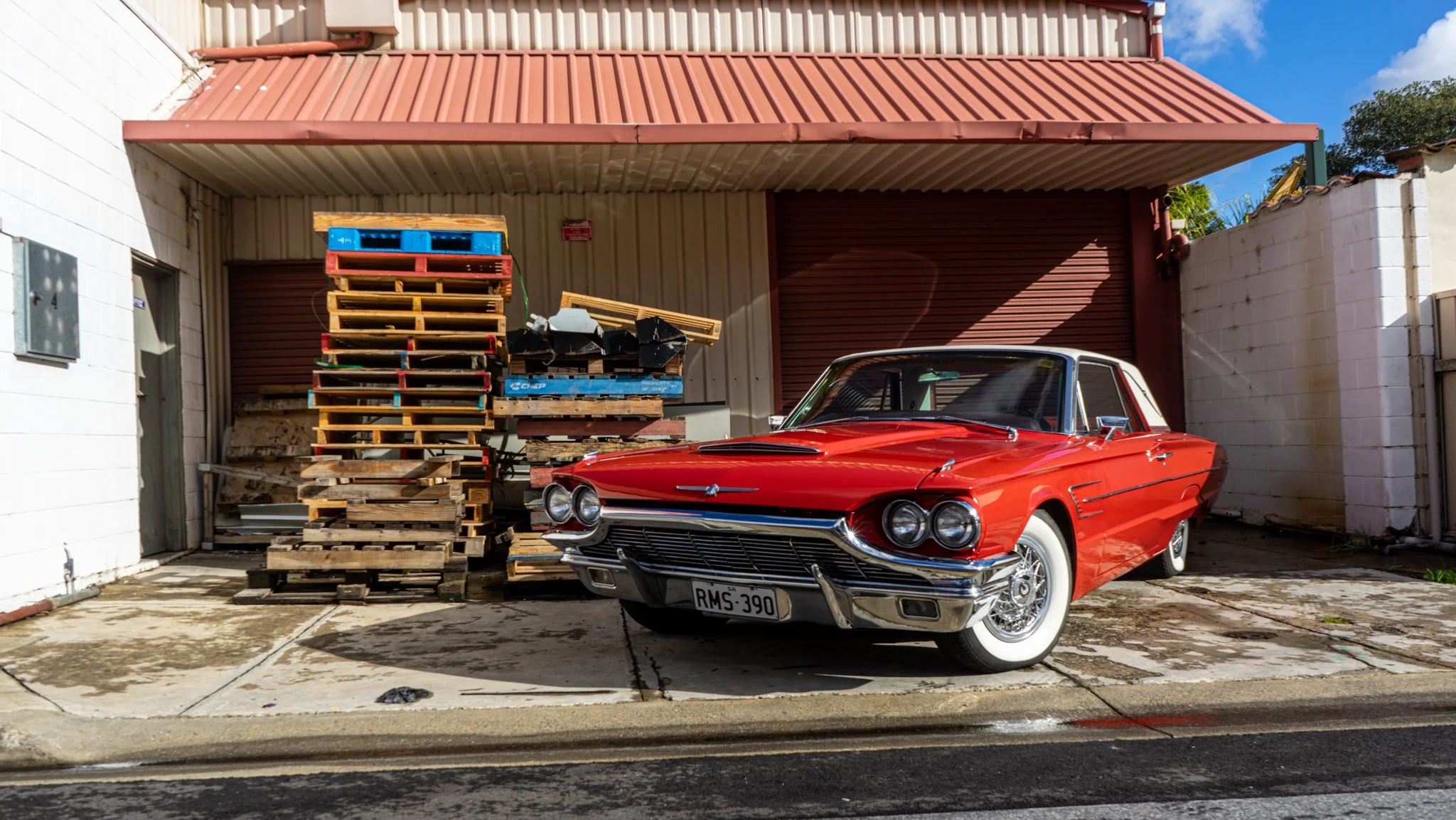 Ford Thunderbird paint correction and Modesta BC-08