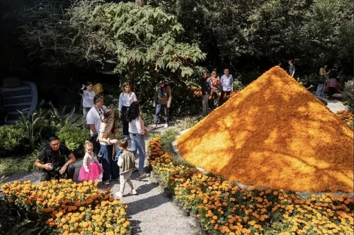Ofrenda de 2025 en MTA+V: visitantes recorriendo un jardín cubierto de flor de cempasúchil.