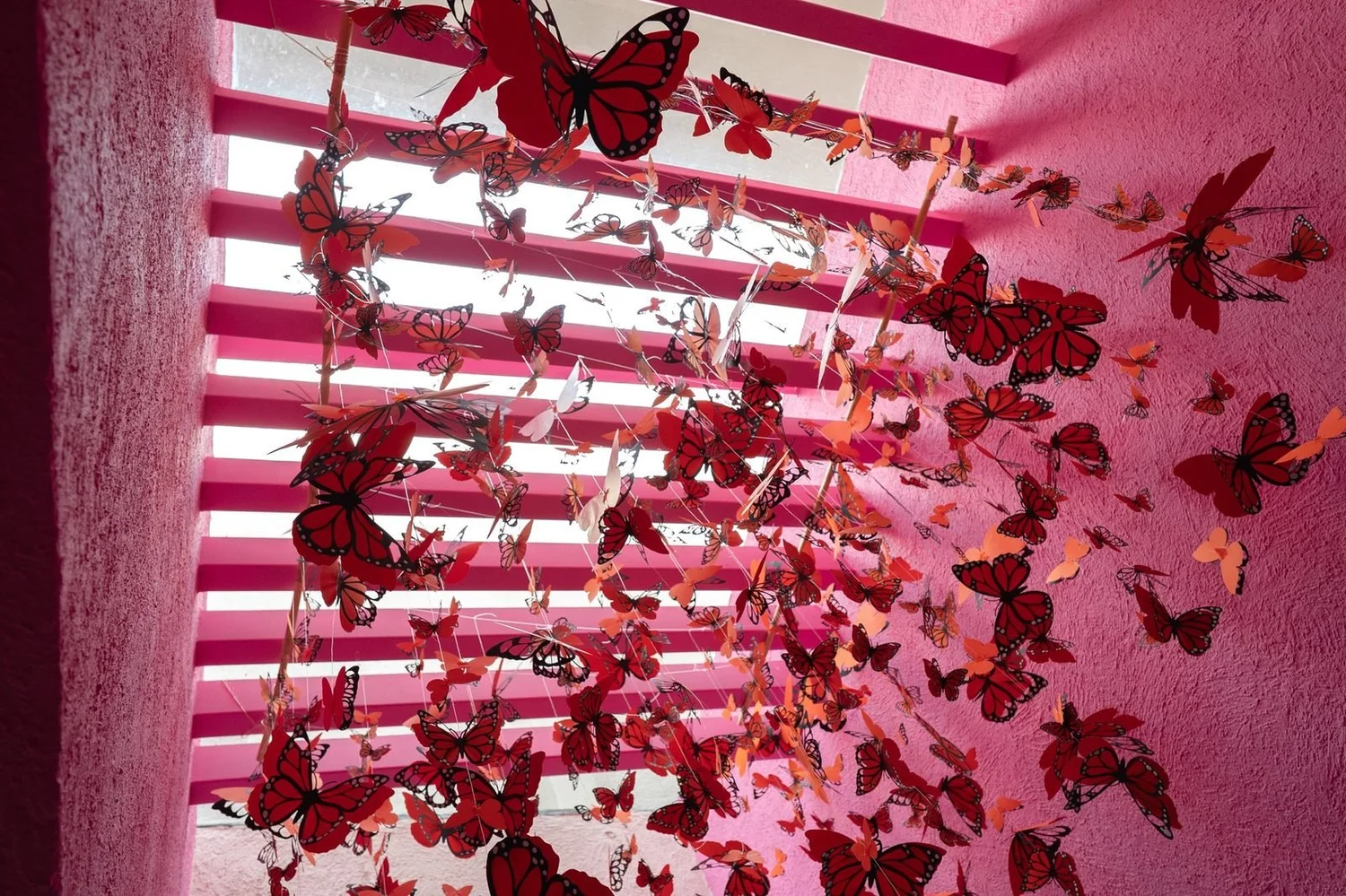 Mariposas rojas suspendidas sobre un muro rosa en LEGORRETA, 2025