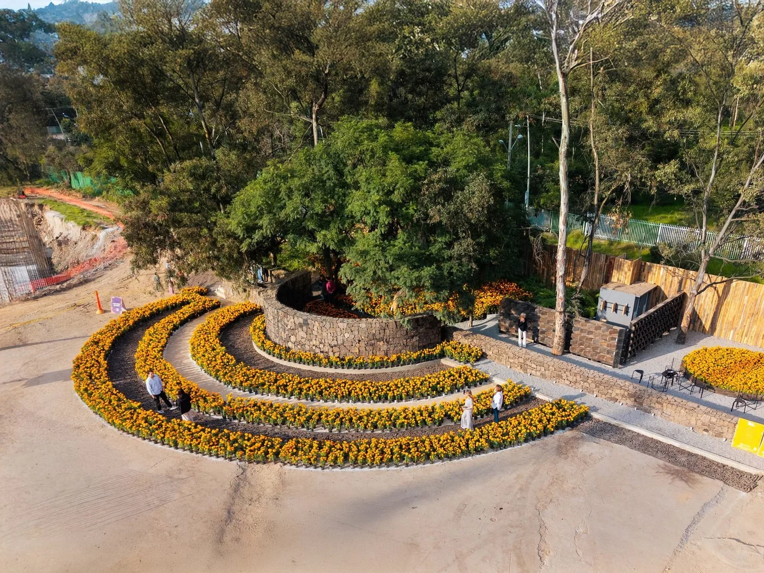 Vista aérea de la ofrenda de Salón Palomilla, 2025