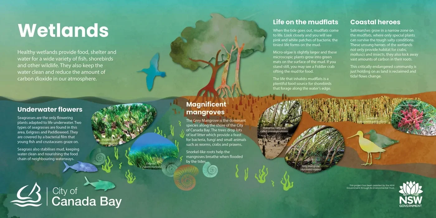Native habitat illustration