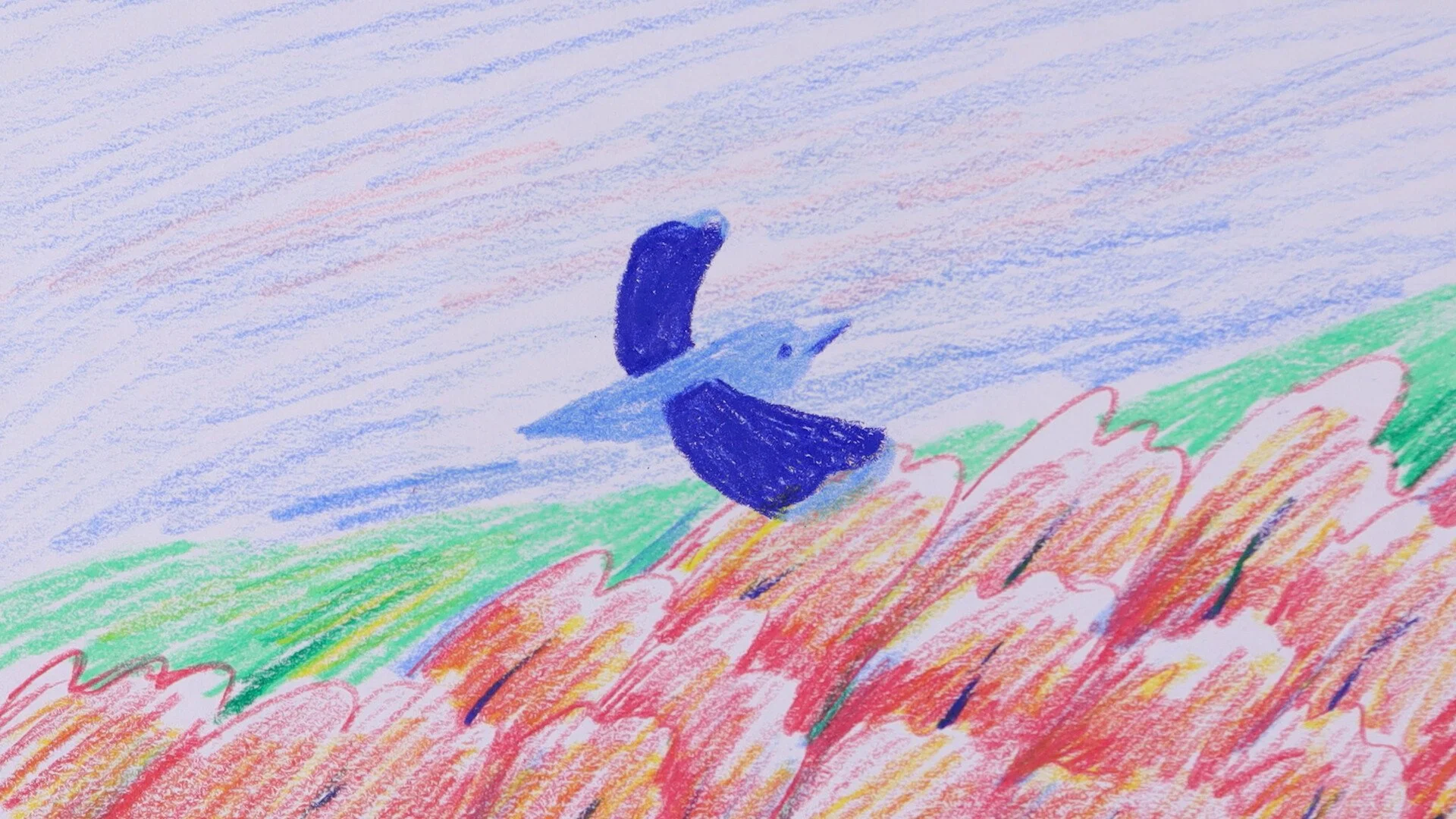 Dreamtracks