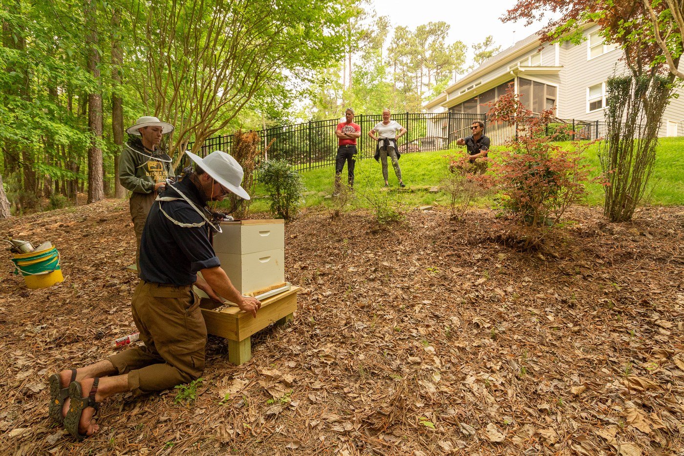 Team installing a hive with homeowners watching