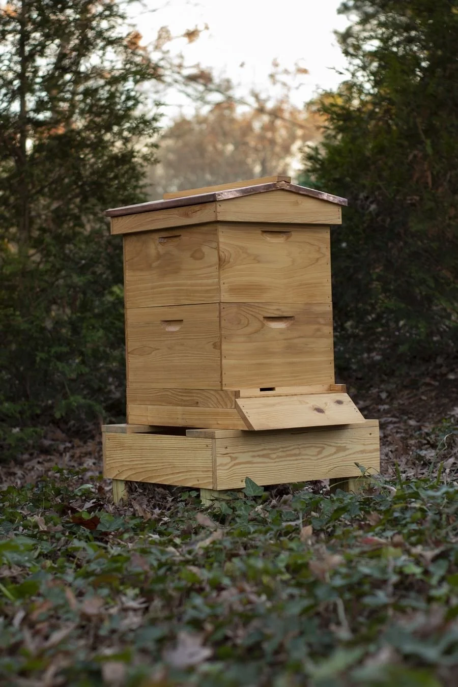 Cypress Equipment hive