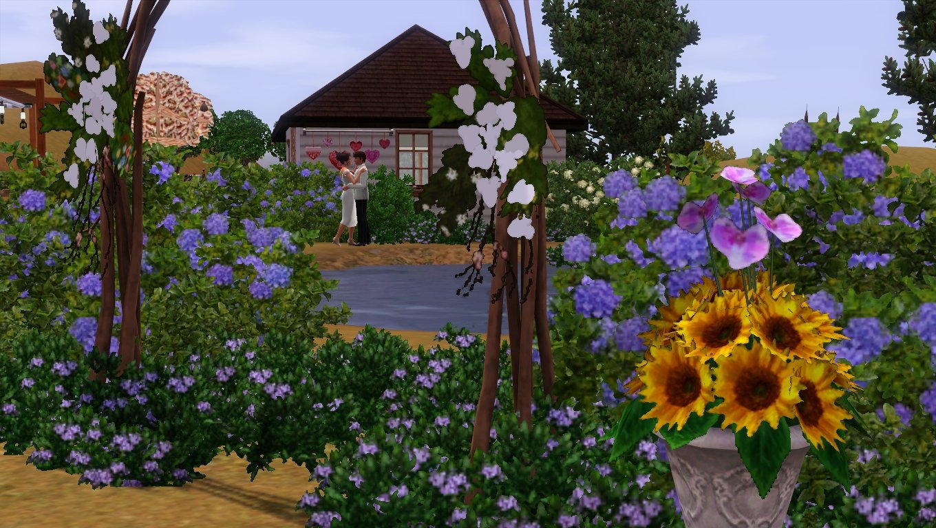 Flowers and an arch made of branches fill the foreground; through the arch, a pond, and on the other side, Dorothy and Matthew embrace in their wedding outfits in front of some pink heart decorations.