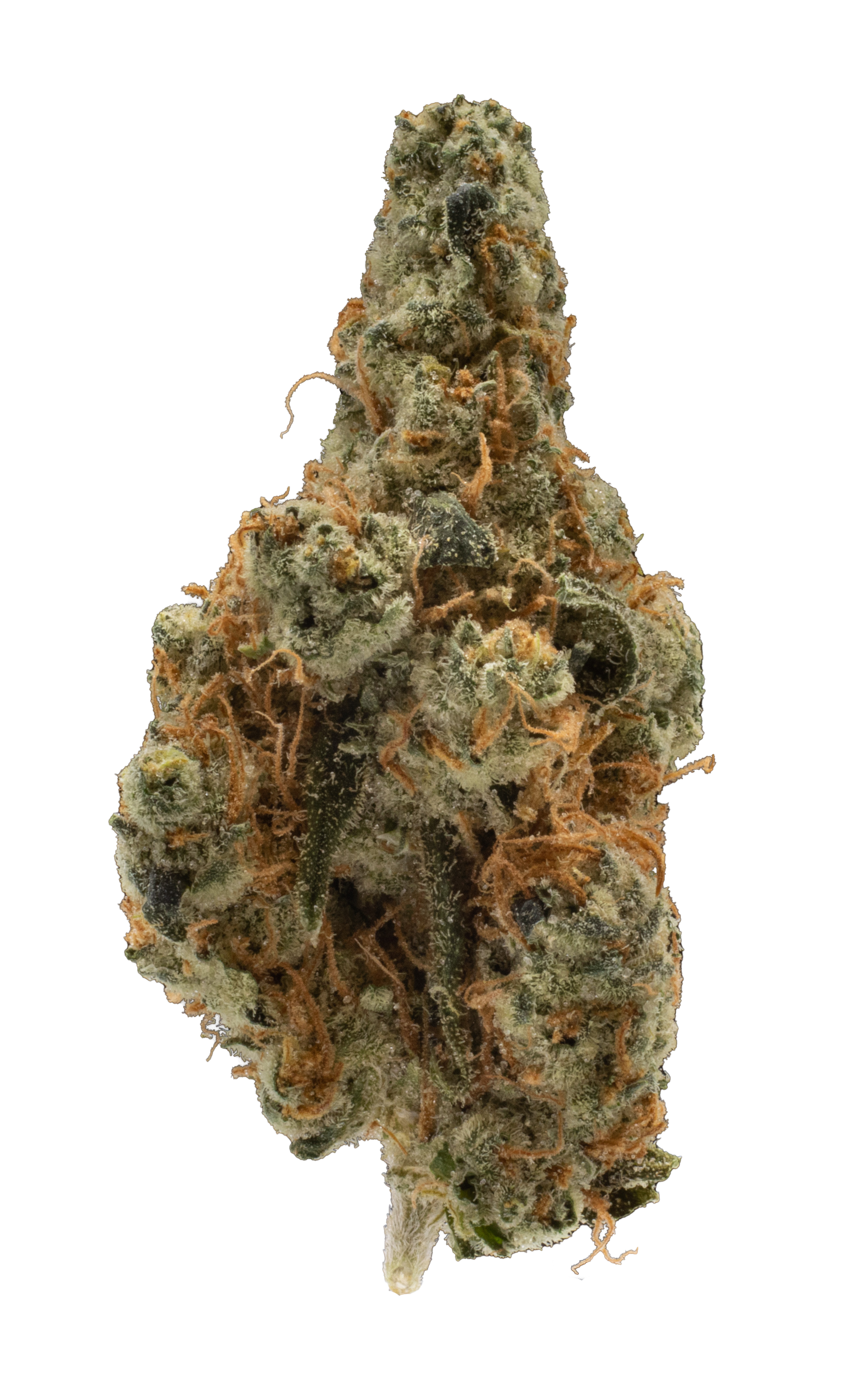 The Cream cannabis flower