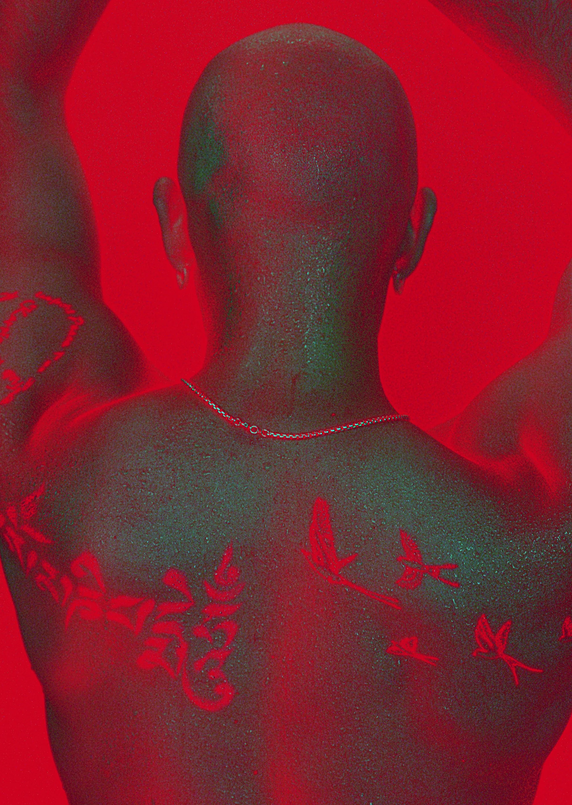 The Burn Room campaign photograph by Navaji David Nava showing a figure from behind with raised arms in red light