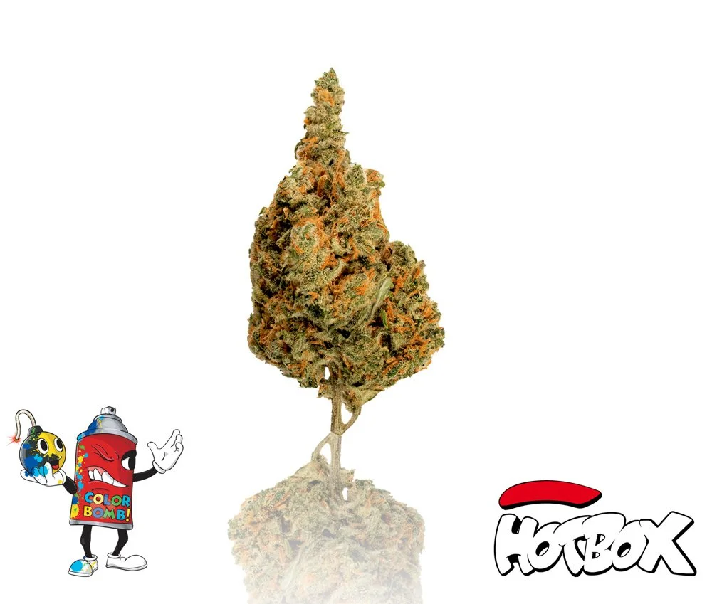 Color Bomb Cannabis Flower
