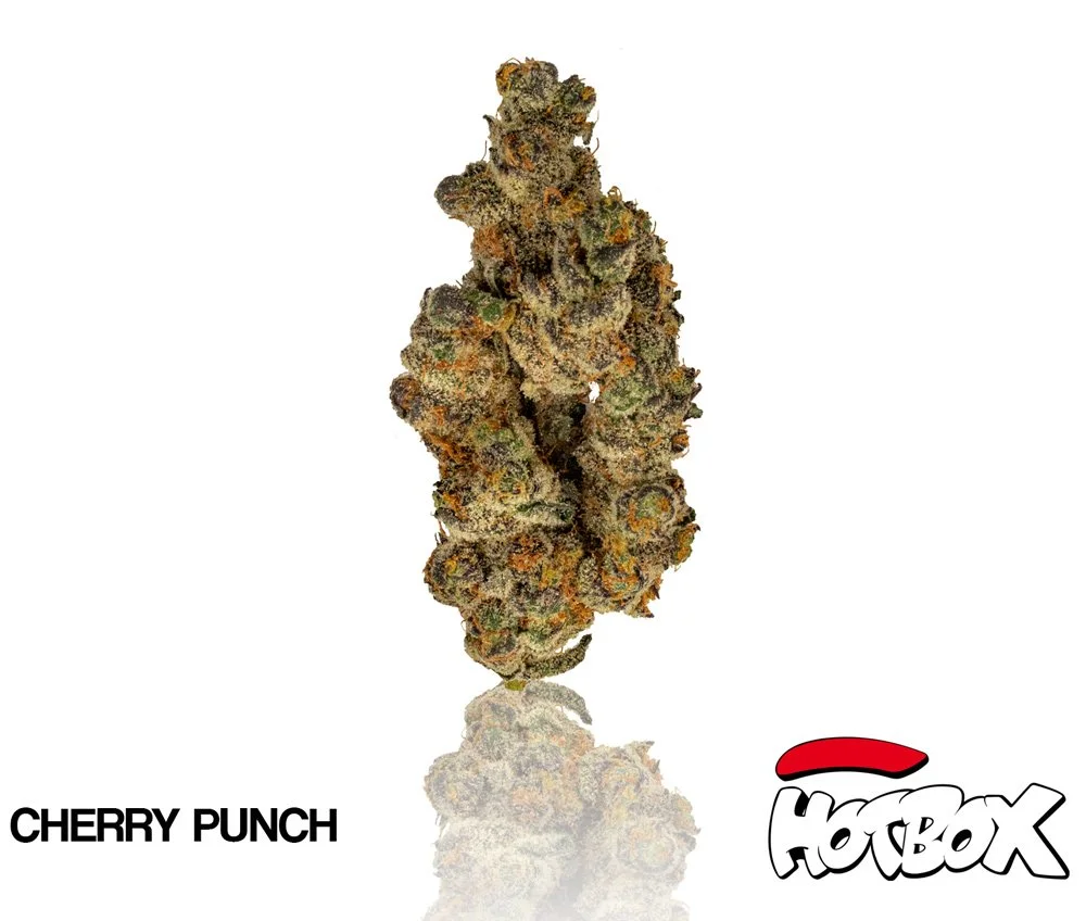 Cherry Punch Cannabis Flower