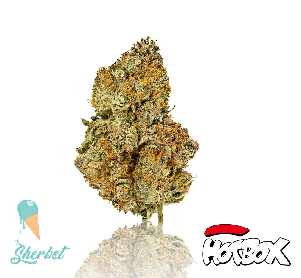 Ice Cream Sherbet Cannabis Flower