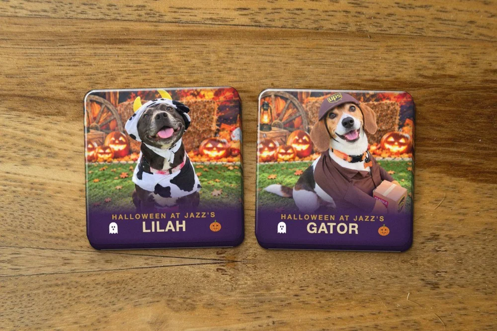Two Halloween photo magnets with pups in costume