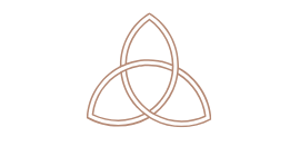 triangle icon