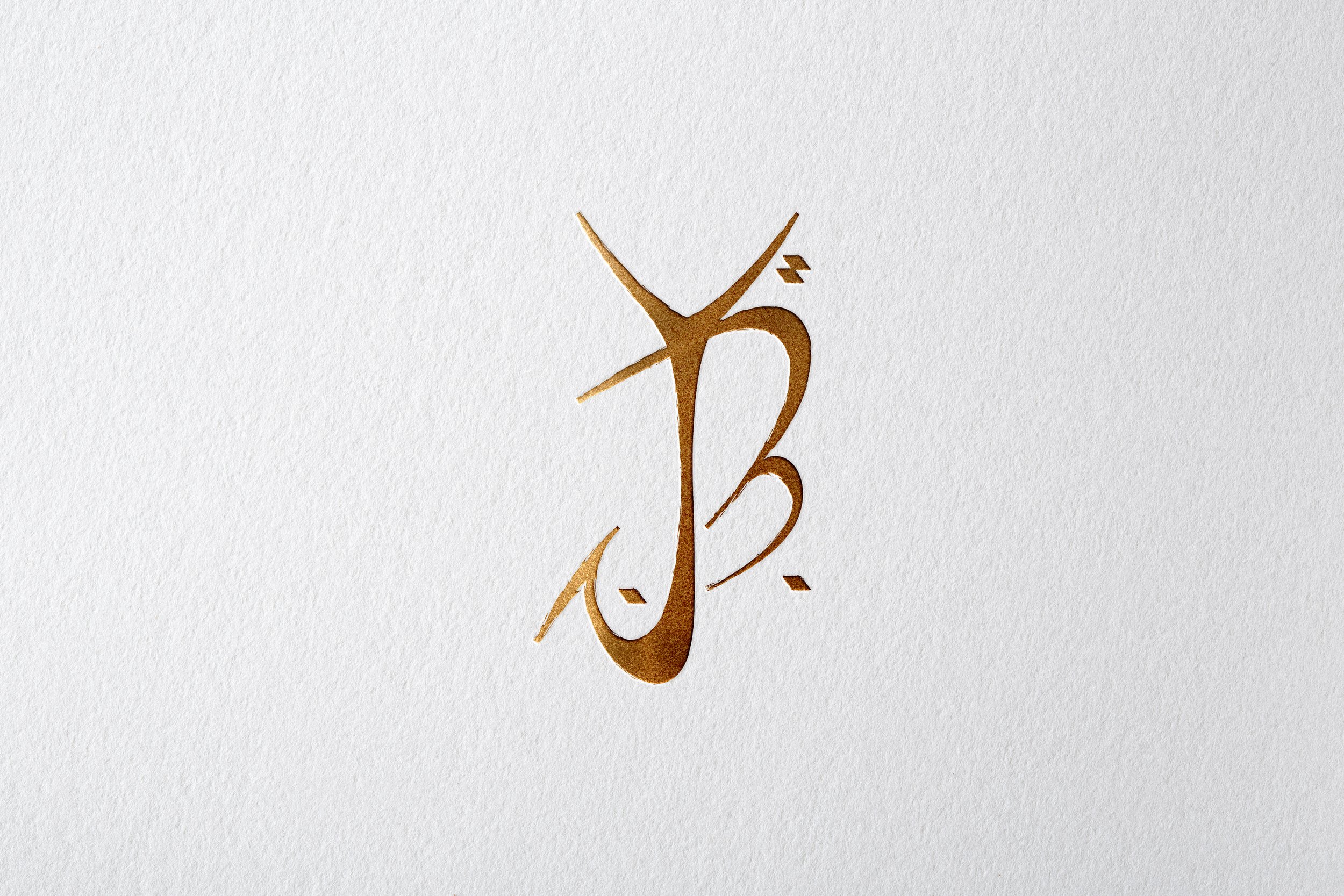 Brand Logo project cover – YBJ