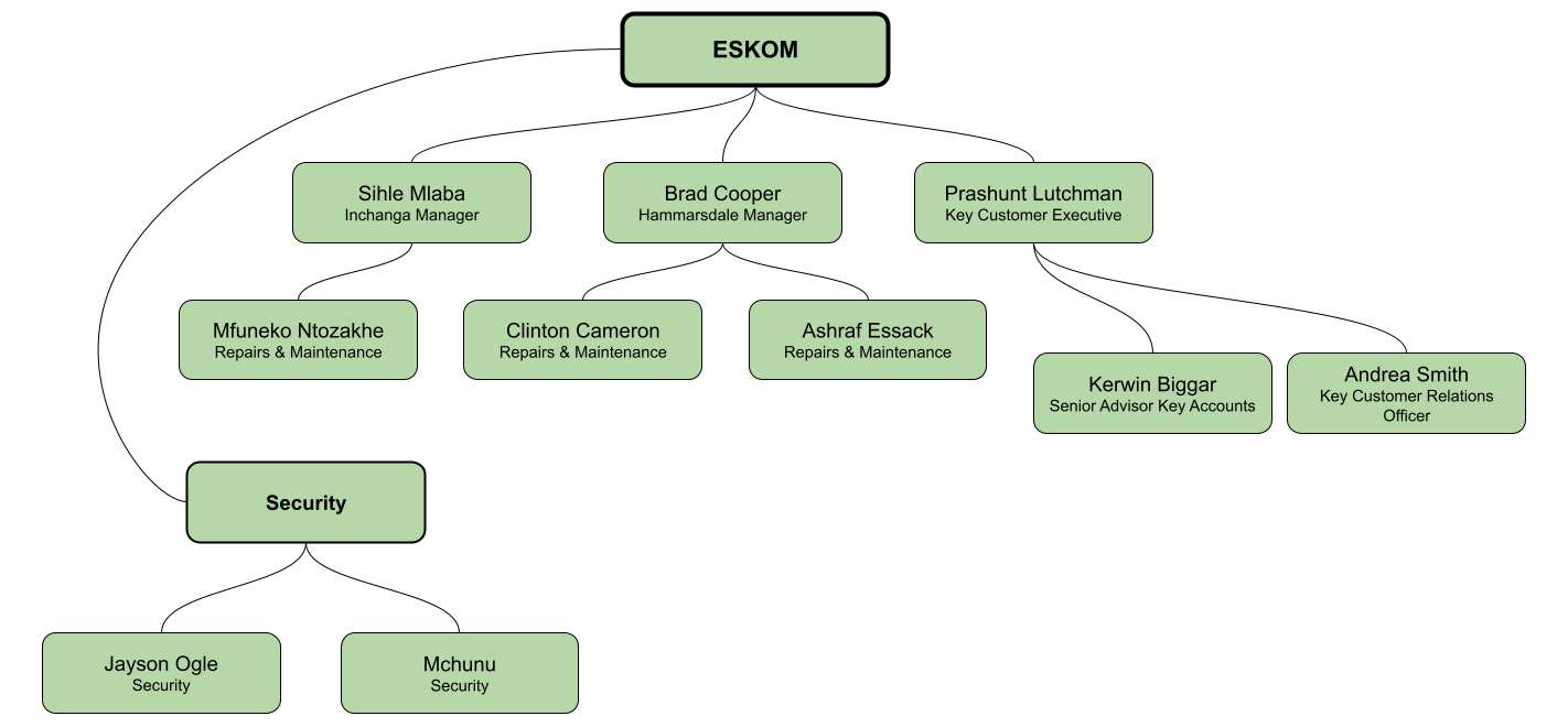 Electricity Network Organogram