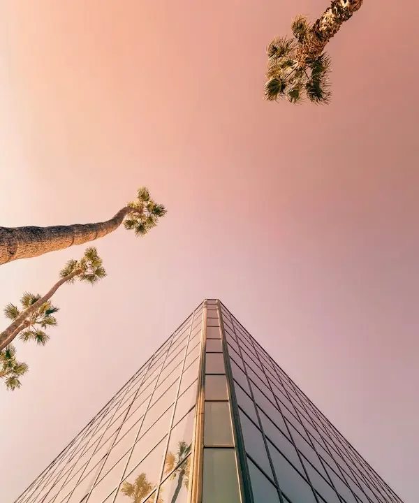 Glass office tower and palm trees against a pink evening sky