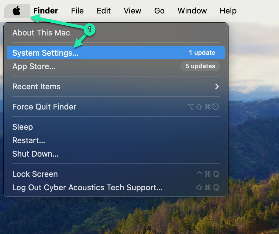 macOS System Settings menu screenshot