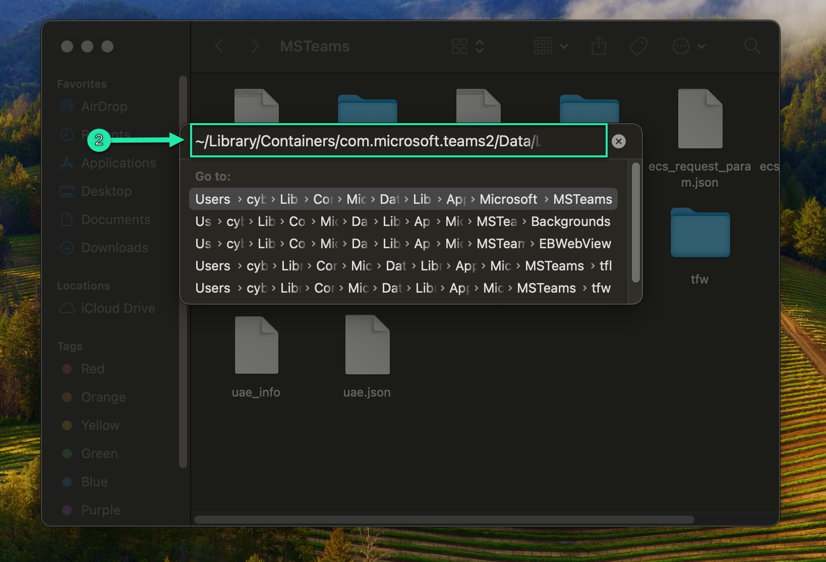 macOS Teams cache folder