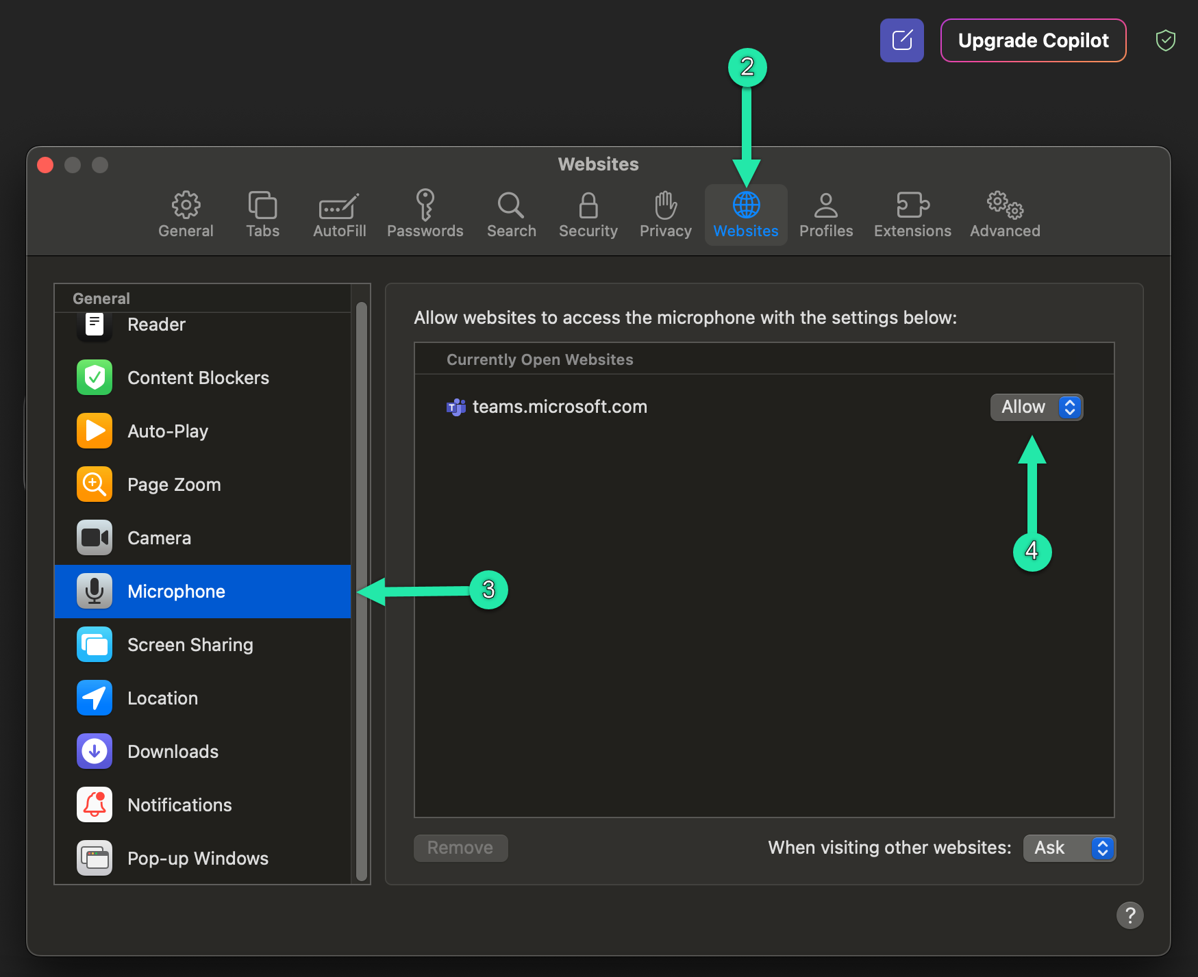 Safari site-specific microphone permissions