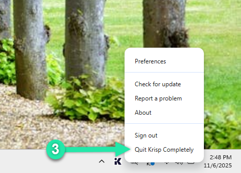 How to fully quit the Krisp application