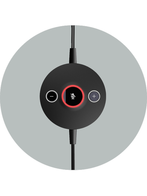 Close-up of the AC-304 in-line controller showing volume and mute buttons with LED mute status indicator