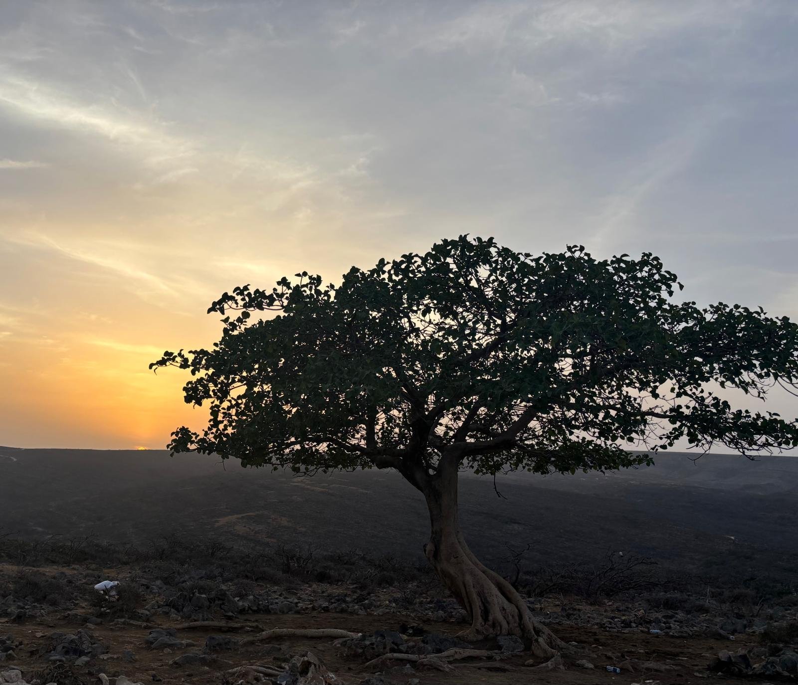 Oman Desert Healing Retreat