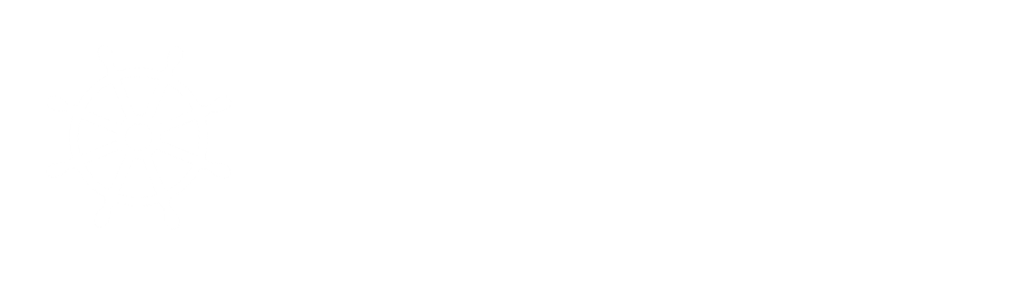 Kolev Group