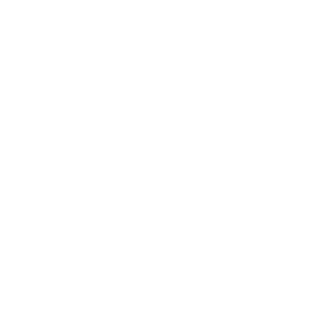 Skyrius Marketing Icon