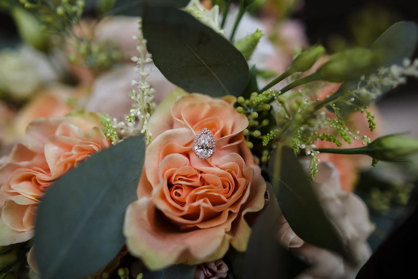 Chicago proposal photographer full gallery collection