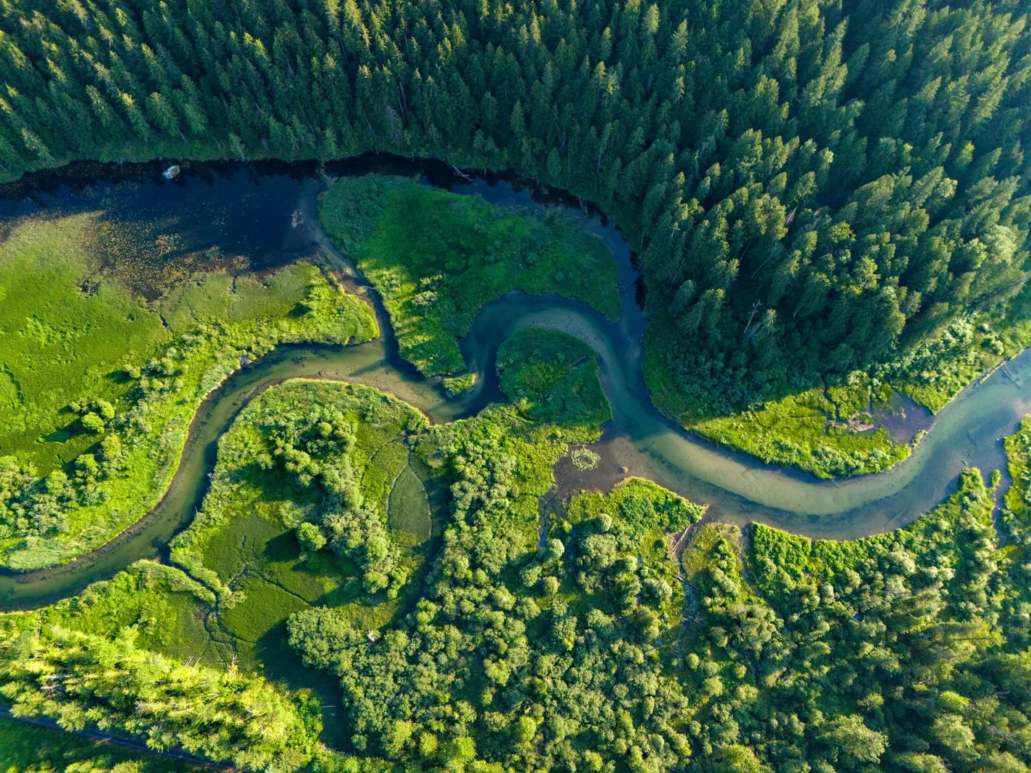 Aerial view of the Eagle River winding through green meadow and thick forest near Crazy Creek