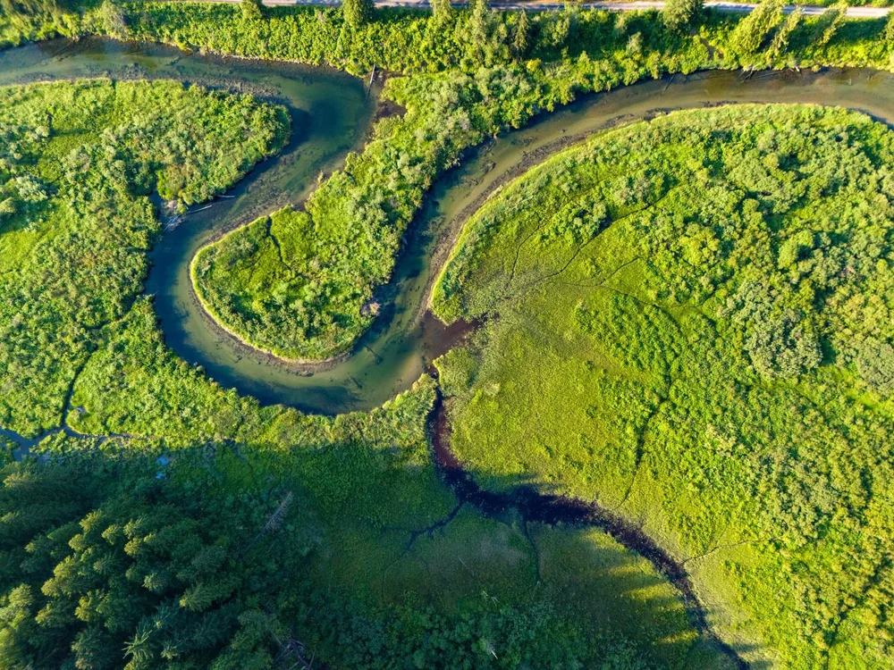 Aerial view of the Eagle River looping through bright green wetland and forest in the Eagle Valley