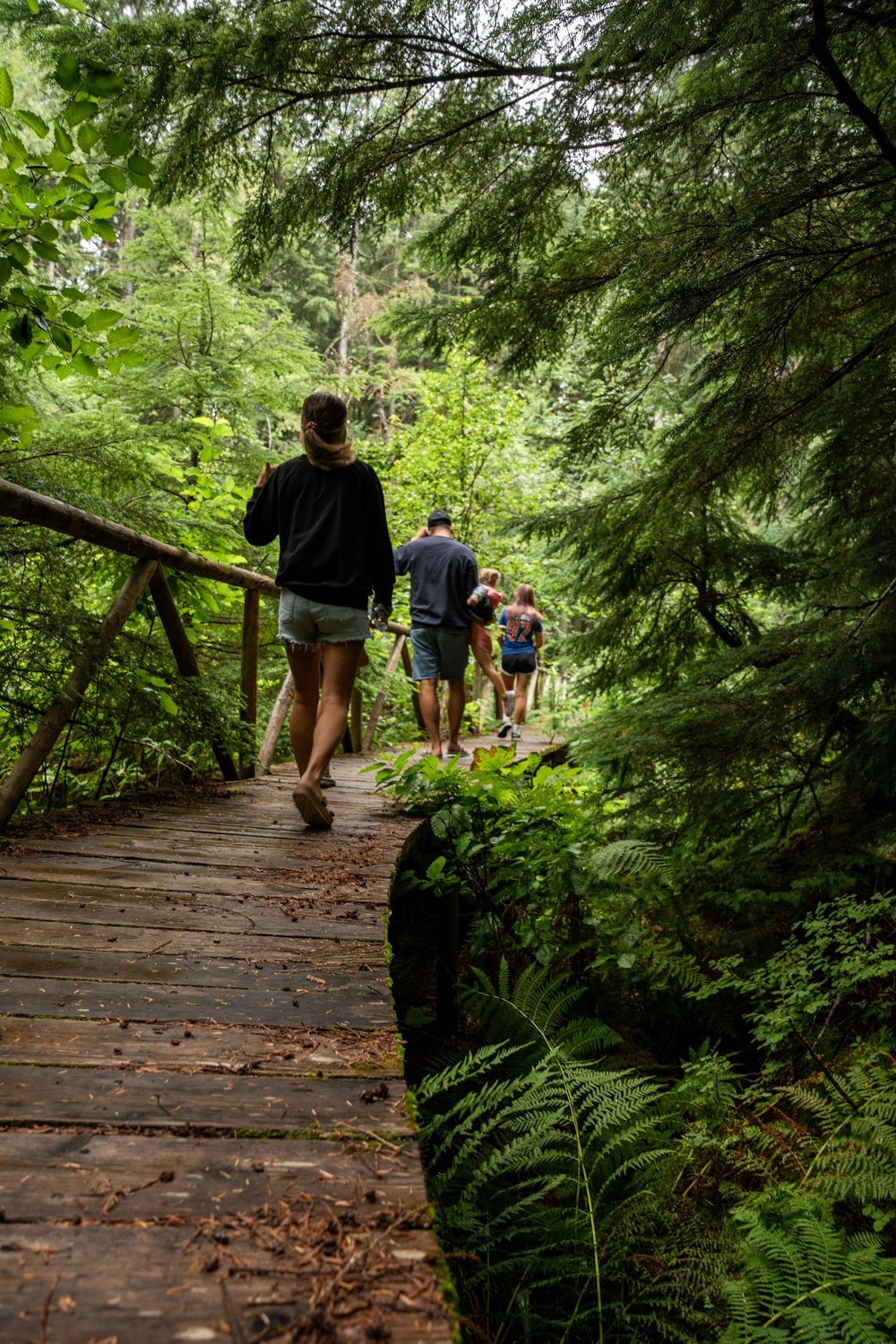 A family walking single file across a wooden boardwalk on a forest trail near Crazy Creek, with ferns and tall trees all around