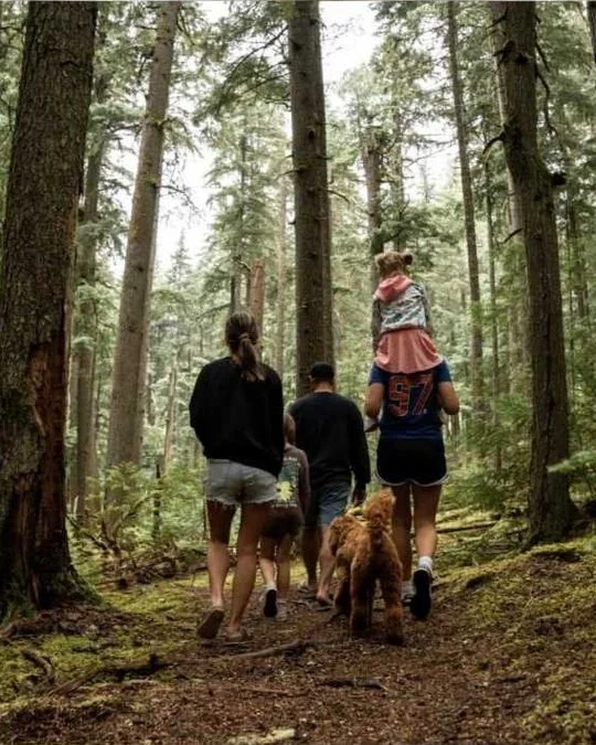 A family and their curly-haired dog walking a forest trail through tall old-growth trees