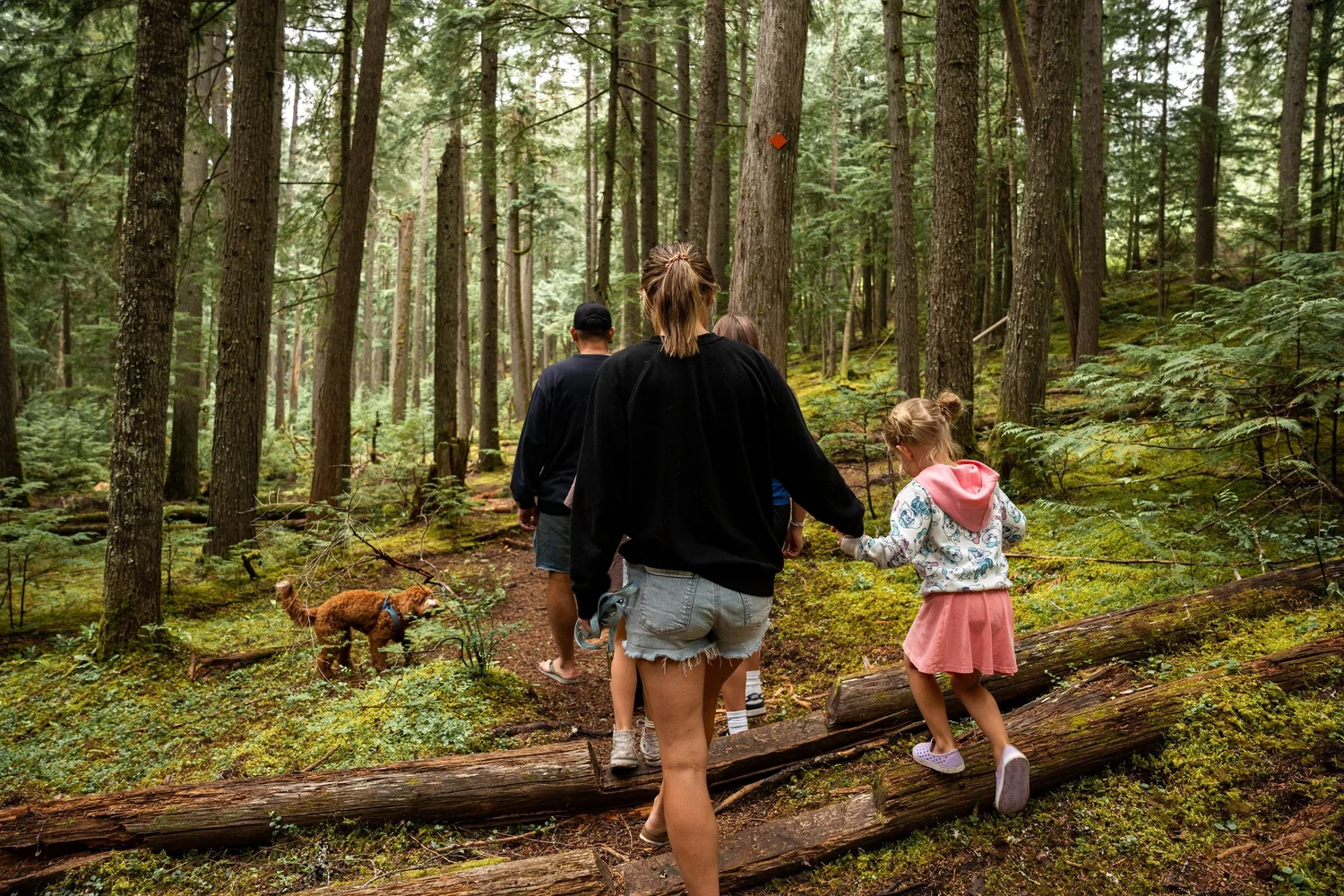 A family with two young girls and their dog walking a mossy forest trail among tall cedars near Crazy Creek