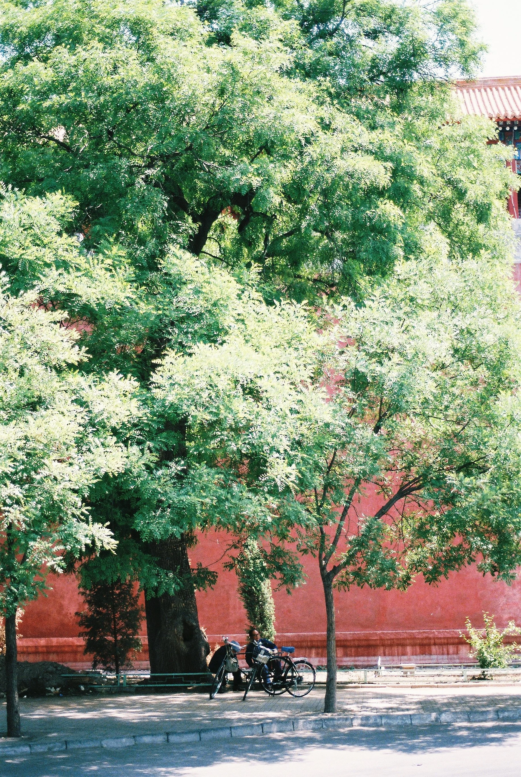 Beijing Summer