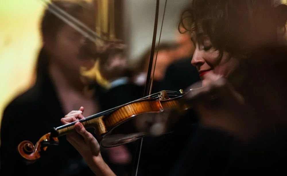 Violinist of the Franz Schubert Filharmonia