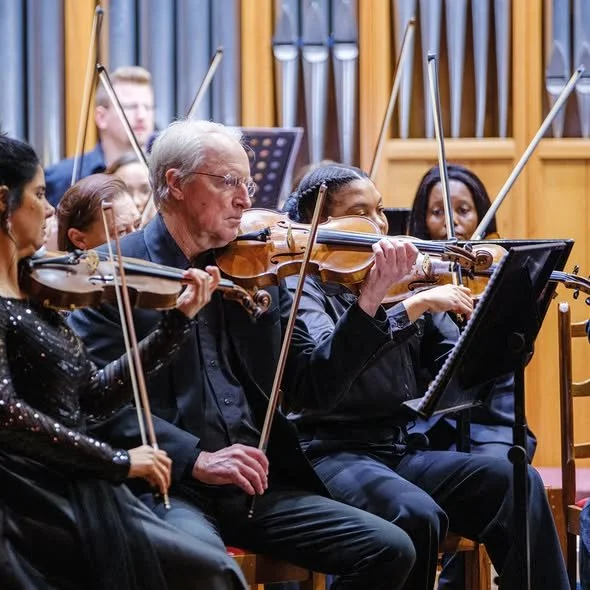 The Free State Symphony Orchestra violin section performing at Magical Flute, 5 April 2025.