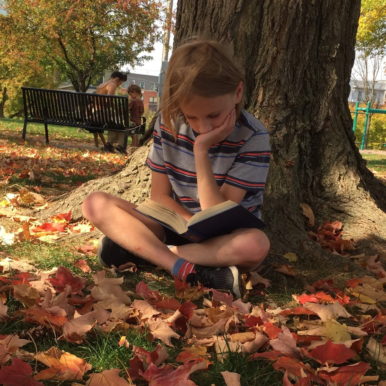 Dex & Dad Book Review